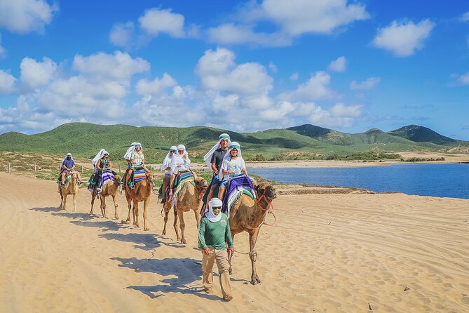Beach Camel Ride and Encounter in Cabo - The camel encounter and beach ride: what to expect on the camel