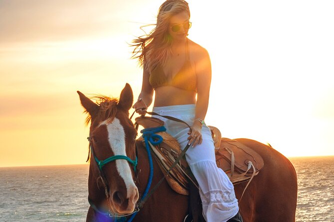Beach Camel Ride and Sky Bike in Cabo - Price and Logistics: What $125 Really Turns Into