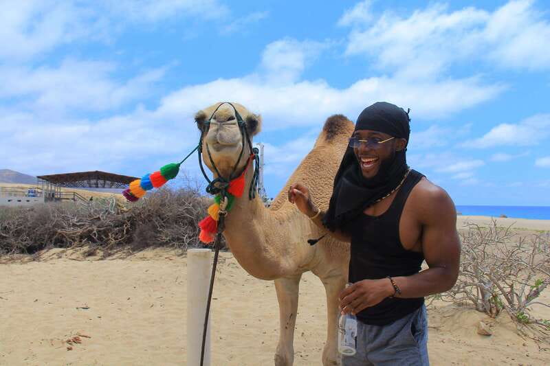 Beach Camel Ride & Encounter in Cabo by Cactus tours park - Tequila, Tacos, Horchata, Jamaica Water, and Later Spirits: The Food Stops That Make It Worth It