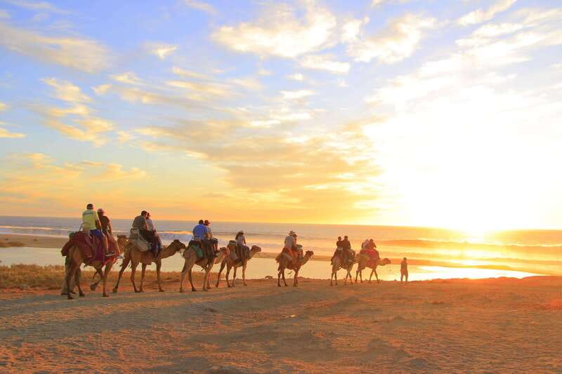Beach Camel Ride & Encounter in Cabo by Cactus tours park - Price and Logistics: How $109 Adds Up with Park Entry and Time