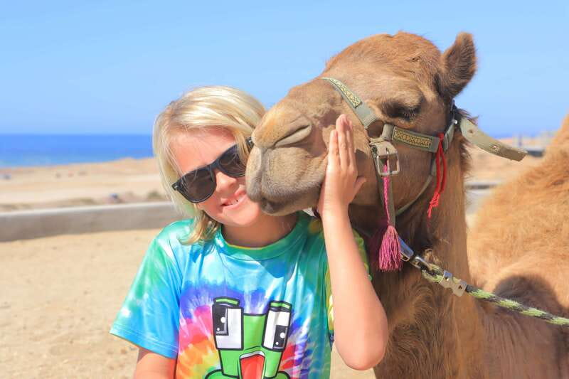 Beach Camel Ride & Encounter in Cabo by Cactus tours park - White-Sand Camel Ride Along the Pacific: What 2 Hours Feels Like in Real Life