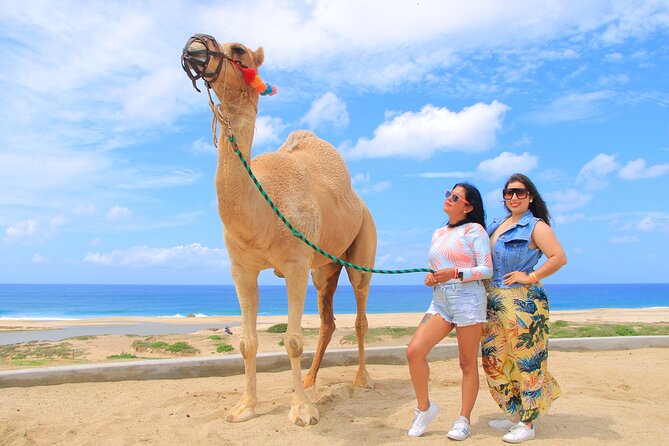 Beach CAN-AM SXS X3 and Camel Ride in Cabo - The Ride Reality: How the SXS and Camel Time Actually Works