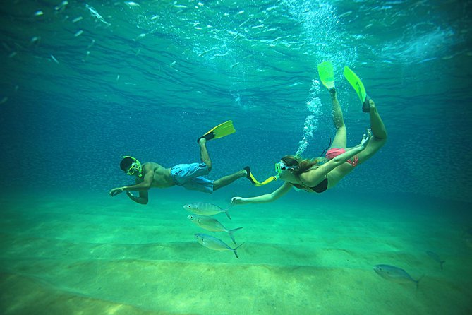 Beach Hopper Small-Group Snorkeling Tour in Los Cabos - Price and What You Get for $220