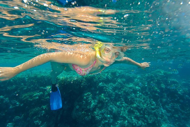 Beach Hopper Small-Group Snorkeling Tour in Los Cabos - Getting on Board: The Marina Start and Zodiac Ride
