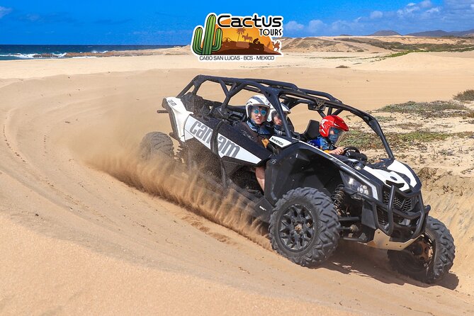 Beach UTV Adventure with Free Camel and Horseback Ride - Baja in 3 hours: the UTV + camel + horse combo