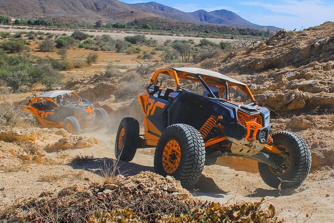 Beach UTV and Camel Ride Combo in Cabo - UTV time on 7,000 acres: dunes, practice runs, and big Pacific views
