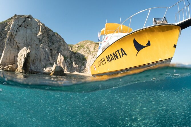 Beginner Scuba Diving in Cabo San Lucas - Gear and costs: tanks, weights, water, plus what costs extra