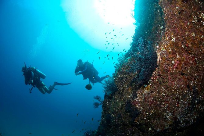 Beginner Scuba Diving in Cabo San Lucas - The classroom-to-water rhythm: forms, gear, and skill practice