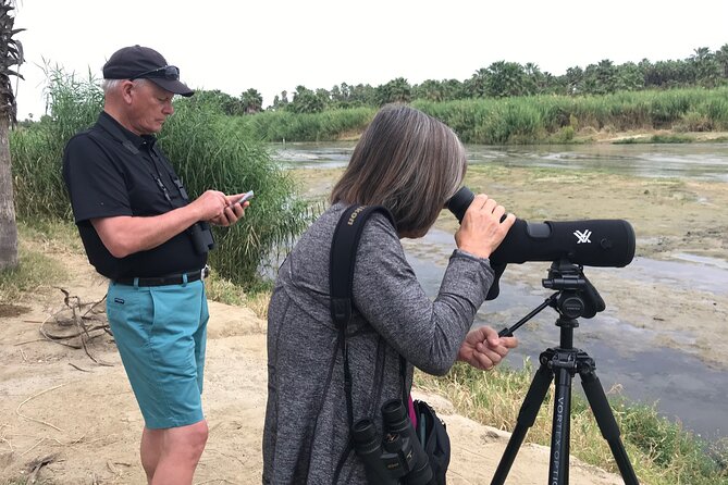 Birding San Jose Estuary Los Cabos Mexico - Key Highlights Before You Go