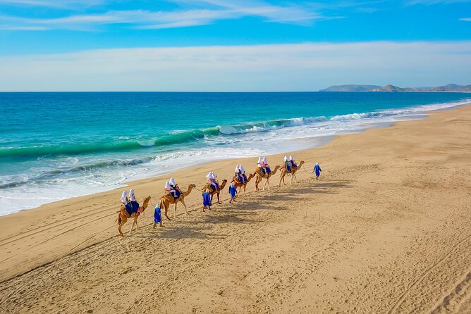 Boat Ride to the Arch and Beach Camel Ride in Cabo San Lucas - Key things to know before you go