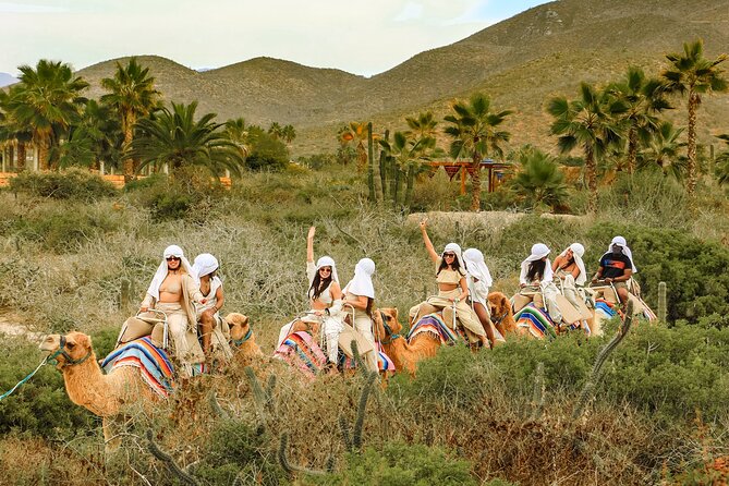 Boat Ride to the Arch and Beach Camel Ride in Cabo San Lucas - Price and the Real Cost: $149 plus the fees you’ll see at check-in