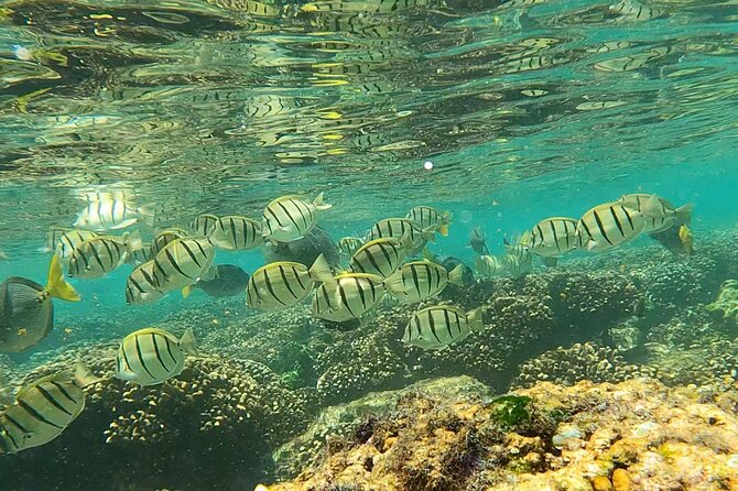 Boat ride to the Arch and Snorkel - How the guide experience changes your snorkeling (and your safety)
