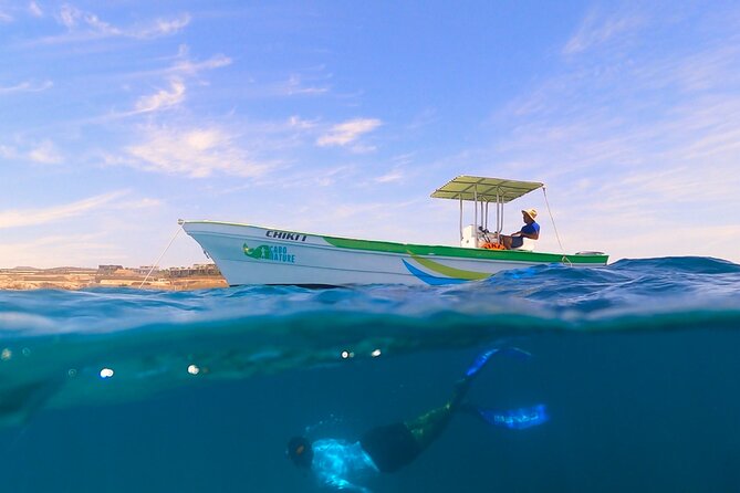 Boat ride to the Arch and Snorkel - After the swim: snacks, cold drinks, and the guacamole factor