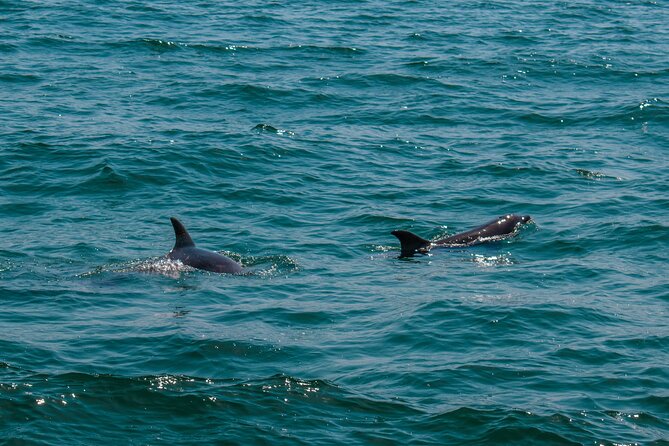 Boat Tour Snorkeling Tour with Guide, Drinks and Fruit - The 45-Minute Bay Cruise: Playa del Amor to the Photo Stop at El Arco