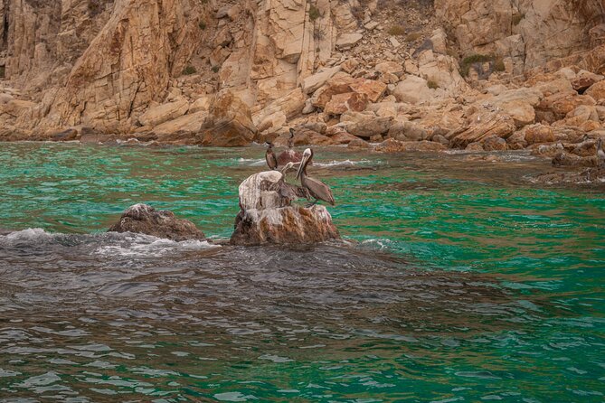 Boat Tour Snorkeling Tour with Guide, Drinks and Fruit - My Booking Advice: When to Say Yes to This Boat-and-Snorkel Combo