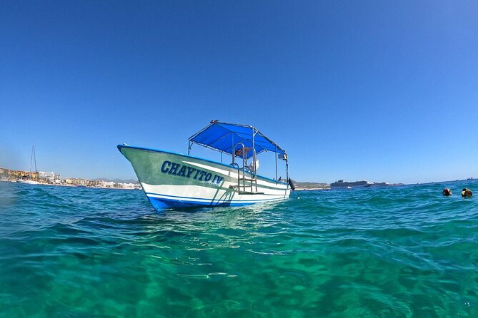 Boat Tour to Cabo San Lucas Arch and Rock Formations - Cabo San Lucas Bay, Under an Hour: The Value Pitch