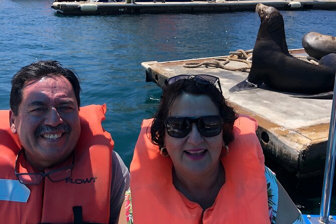 Boat Tour to Cabo San Lucas Arch and Rock Formations - Stop 2: Pelican Rock and Marine Life You Can Actually See