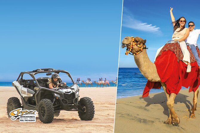 Cabo Adventure: Can-Am X3 Ride & Camel Beach Tour - Quick Hits: What Makes This Tour Worth Your Time