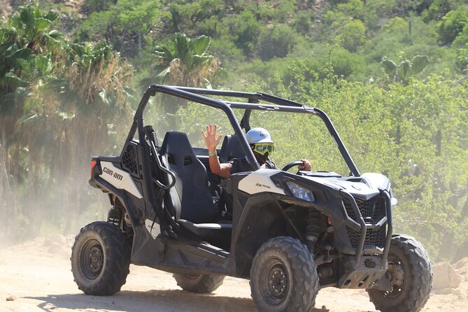 Cabo Adventure: Can-Am X3 Ride & Camel Beach Tour - Price and Fees: Getting the Real Total Before You Show Up