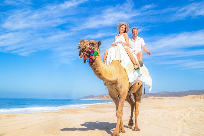 Cabo Adventure: Can-Am X3 Ride & Camel Beach Tour - Who Should Book This Cabo Can-Am and Camel Tour?