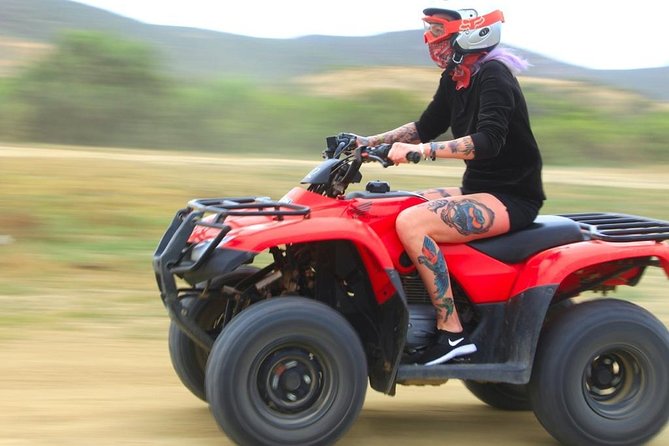 Cabo ATV and Camel Ride Combo Migriño Adventure - Should You Book the Cabo ATV and Camel Combo?