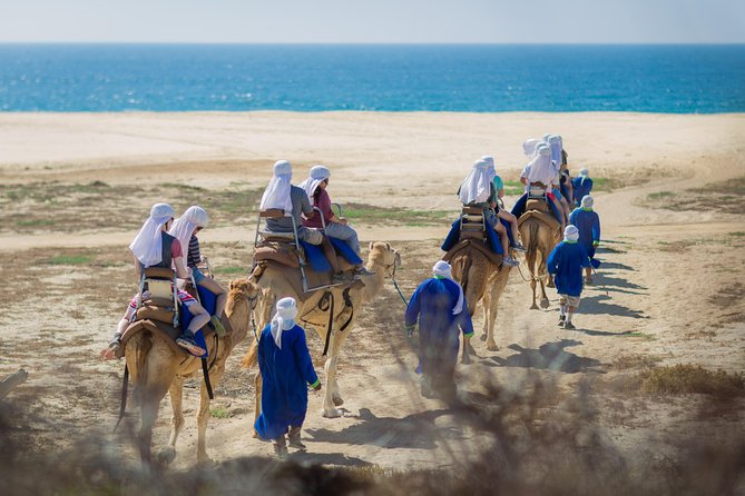 Cabo Beach Camel Ride, Mexican Buffet and Tequila Tasting - Should You Book It? My Straight Answer