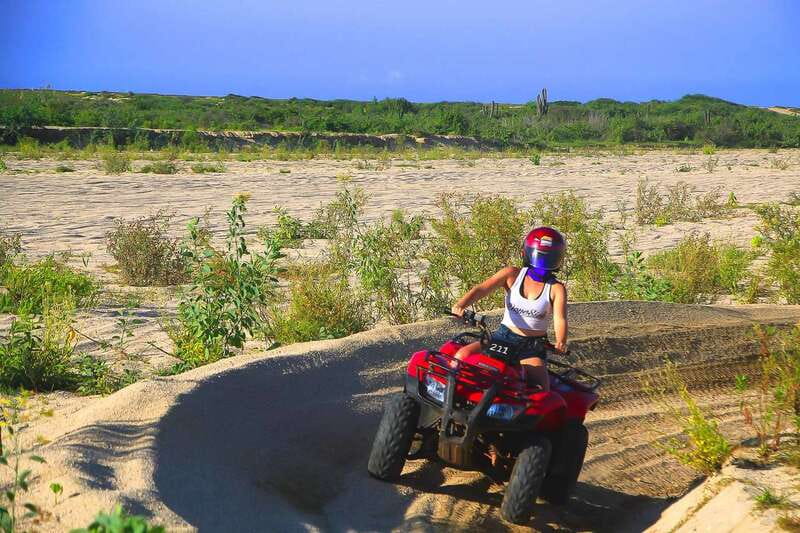 Cabo: Beach & Desert Single ATV Tour with Tequila Tasting - Tequila Tasting at the Finish: Local Flavor Without the Ceremony