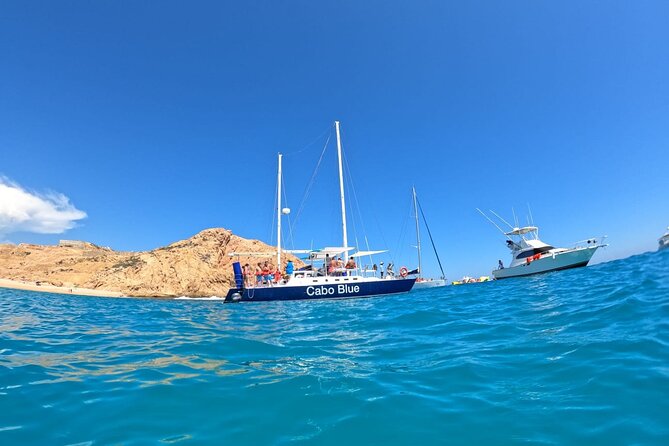Cabo Blue Snorkeling Cruise, Open Bar and Lunch in Cabo San Lucas - What you really pay for: value at $79.80