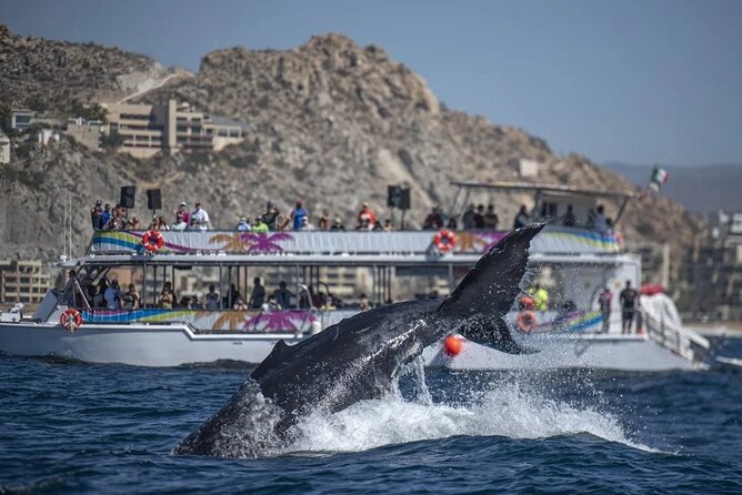Cabo Boat Tour: Drinks, Lunch, Snorkeling, Dancing, and Transport - Why this Cabo boat tour fits a perfect 3-hour break