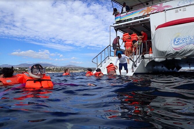 Cabo Boat Tour: Drinks, Lunch, Snorkeling, Dancing, and Transport - How pickup and the meeting point work near Cabo Marina