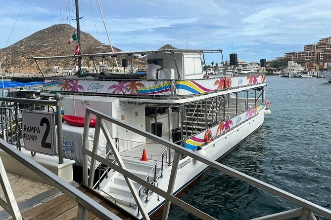 Cabo Boat Tour: Drinks, Lunch, Snorkeling, Dancing, and Transport - Chileno Bay snorkeling: what to expect once you’re in the water