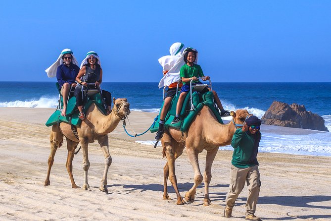 Cabo Camel Ride Experience - Key highlights at a glance
