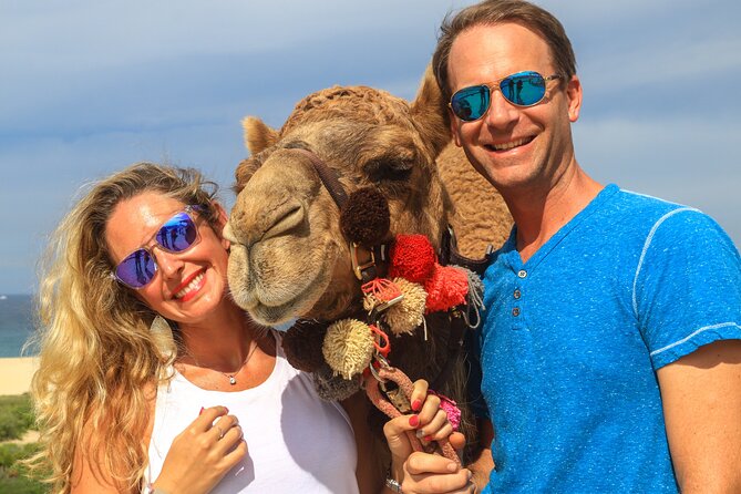 Cabo Camel Ride Experience - Camel ride in Los Cabos: why El Migriño feels different