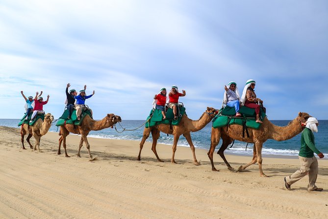 Cabo Camel Ride Experience - Riding the beach: what you’ll do once you mount