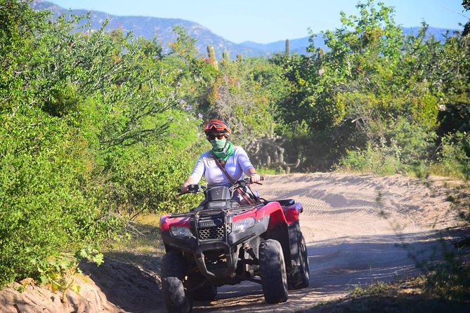 Cabo Candelaria Village Adventure + Tequila Tasting - Price and value: what $170 buys you (and what doesn’t)