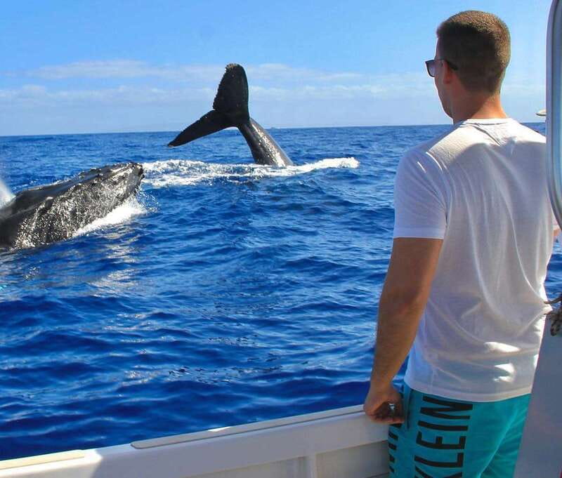 Cabo Catamaran Snorkel: Arch & Santa Maria, Open Bar, Snacks - FAQ