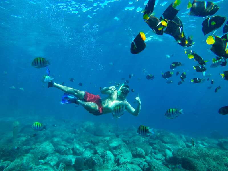 Cabo Catamaran Snorkel: Arch & Santa Maria, Open Bar, Snacks - Who Should Book This Catamaran Snorkel Tour, and Who Should Pass