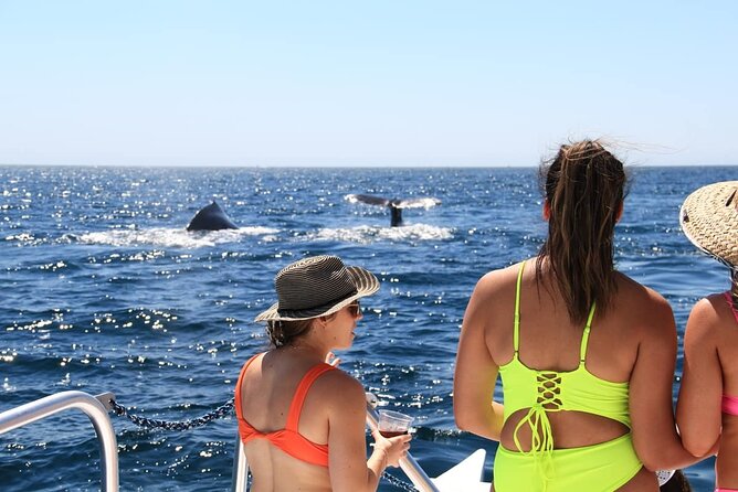 Cabo Catamaran – Snorkeling Tour & Coastal Views - The Crew and the Real Experience: Fun Onboard, But Stay Alert