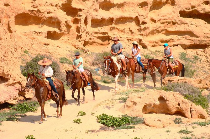 Cabo Desert ATV & Beach Horseback Combo enjoy adventure and beauty! - Why This Cabo Combo Works: Desert ATV Meets Migriño Beach Horses