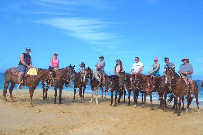 Cabo Desert ATV & Beach Horseback Combo enjoy adventure and beauty! - Road Trip Views: Canyons, a Dry Stream, and Cliffside Sea Air