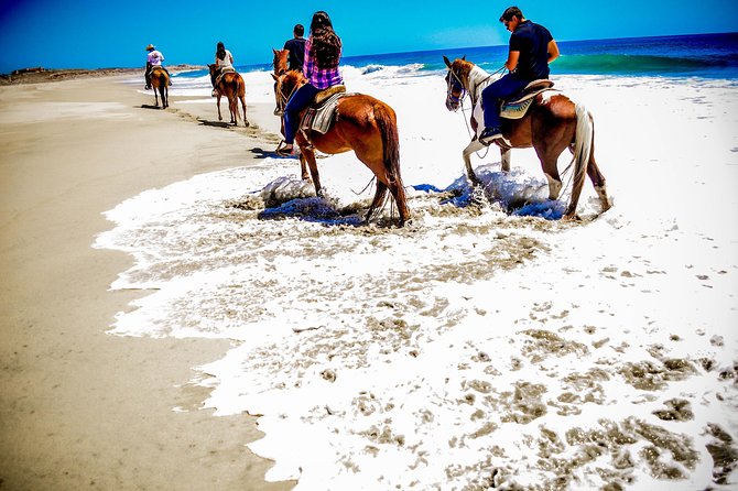 Cabo Desert ATV & Beach Horseback Combo enjoy adventure and beauty! - Gear, Comfort, and Small Things That Save Your Day