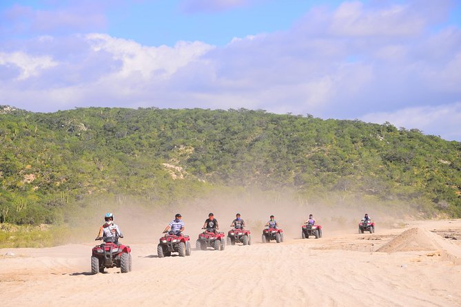 Cabo Desert Off-Road & Beach Horseback Combo and Tequila Tasting - Key Takeaways Before You Go