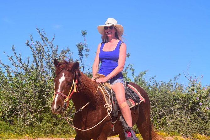 Cabo Desert Off-Road & Beach Horseback Combo and Tequila Tasting - Riding the Desert-to-Ocean Views: The Best Parts Happen in the In-Between