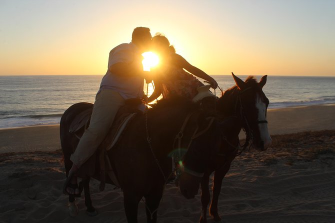 Cabo Desert Off-Road & Beach Horseback Combo and Tequila Tasting - Beach Horseback on White Sand: What This Part Feels Like