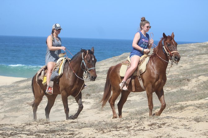 Cabo Desert Off-Road & Beach Horseback Combo and Tequila Tasting - Tequila Tasting at the End: Included Flavor, Simple Finish