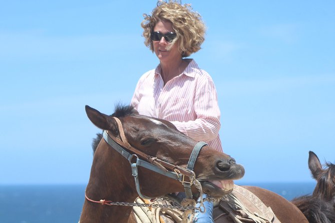 Cabo Desert Off-Road & Beach Horseback Combo and Tequila Tasting - Group vs Private: How to Get the Pace You Want
