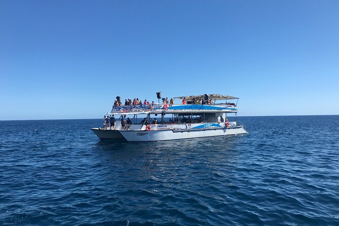 Cabo Escape Snorkel Fun Cruise - Who Should Book This Snorkel Cruise (and Who Should Skip It)