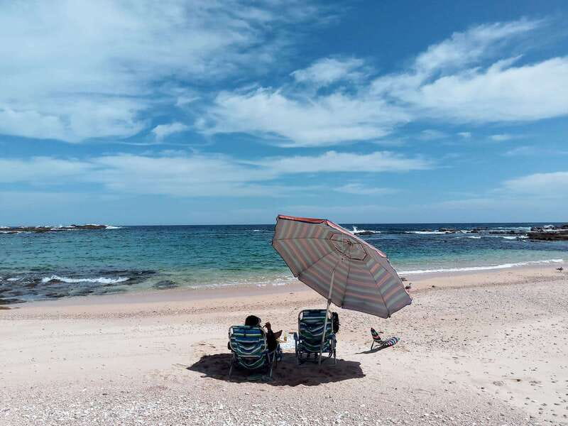 Cabo: Hidden Beach Day with Snorkeling in the Sea of Cortez - Snorkeling in the Sea of Cortez: What You’ll See and How to Stay Comfortable