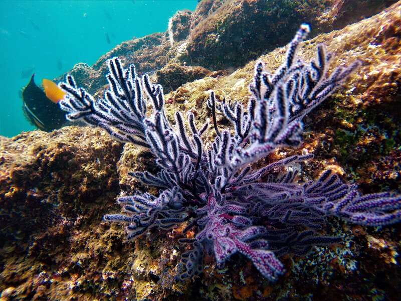 Cabo: Hidden Beach Day with Snorkeling in the Sea of Cortez - Who This Tour Fits Best (And Who Might Want Another Plan)