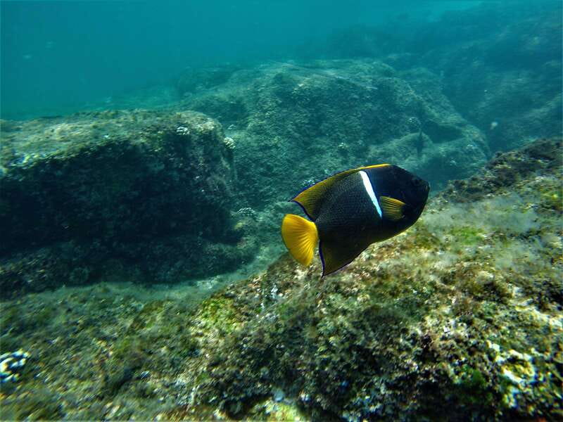 Cabo: Hidden Beach Day with Snorkeling in the Sea of Cortez - What to Bring: A Rocky-Beach Packing List That Actually Works